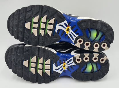 *TOP* 2023 Nike Air Max Plus TN 'Chameleon' Gr. UK 7 / EUR 41
