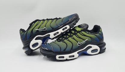*TOP* 2023 Nike Air Max Plus TN 'Chameleon' Gr. UK 7 / EUR 41