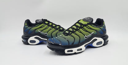 *TOP* 2023 Nike Air Max Plus TN 'Chameleon' Gr. UK 7 / EUR 41