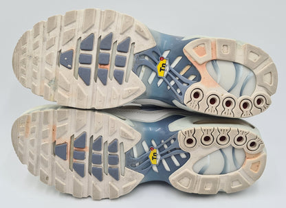 *Guter Zustand* 2023 WMNS Nike Air Max Plus TN 'Ashen Slate' Gr. UK 9 / EUR 44
